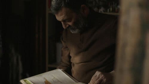 Böyük qırmızı ev Bild 2