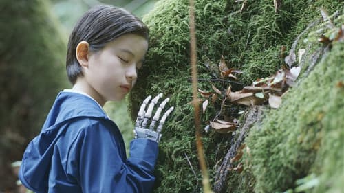 箱の中の羊 Bild 1