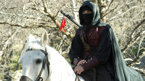 Der Adler des Königs Bild 1