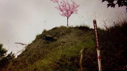 Havoc in Highfields Volume II: Call of The Cavalry Bild 1