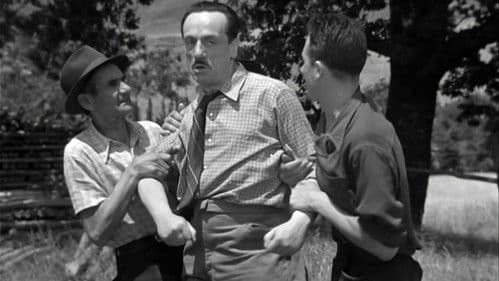 Casanova farebbe così! Bild 4