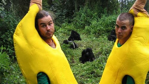 Wildboyz Bild 2