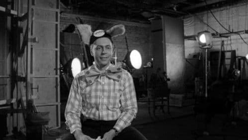 Tausend Clowns Bild 3