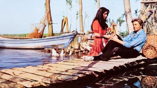 Kader Arkadaşı Bild 2