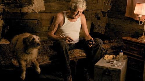 That Evening Sun Bild 6