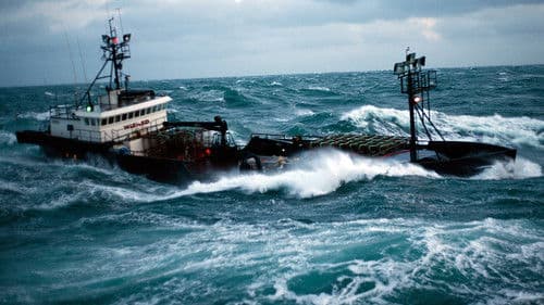 Der gefährlichste Job Alaskas Bild 7