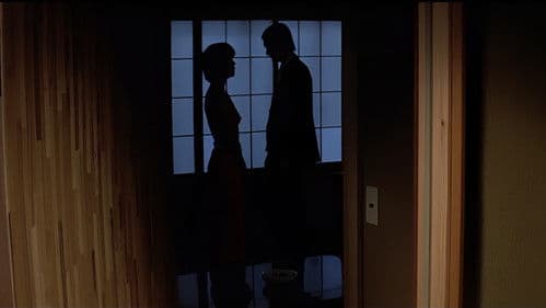 信州シコシコ節　温泉芸者ＶＳお座敷ストリッパー Bild 2