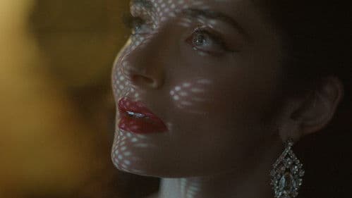 Accidental Stars Bild 2