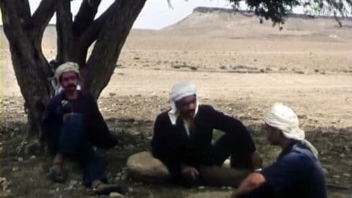 L'Olivier de Boulhilet Bild 4