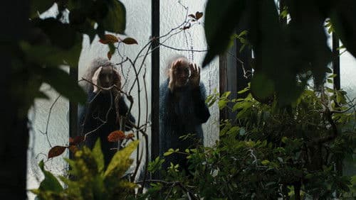 A Little Love Package Bild 1