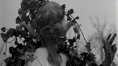 Die Vergewaltigung des Vampirs Bild 4