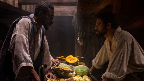 A Viagem de Pedro Bild 8