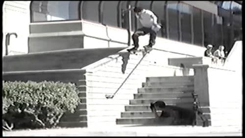 Toy Machine - Jump Off A Building Bild 2