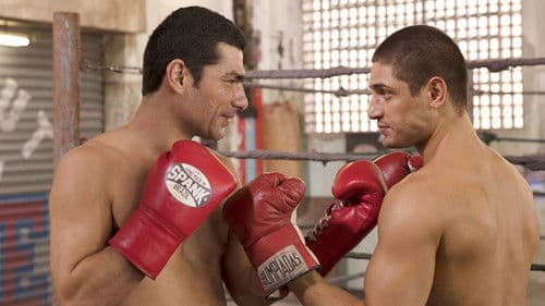 Irmãos Freitas Bild 2