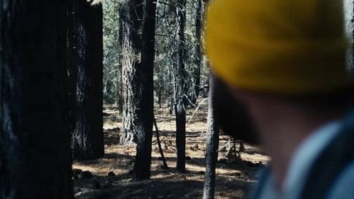 The Hidebehind Bild 3