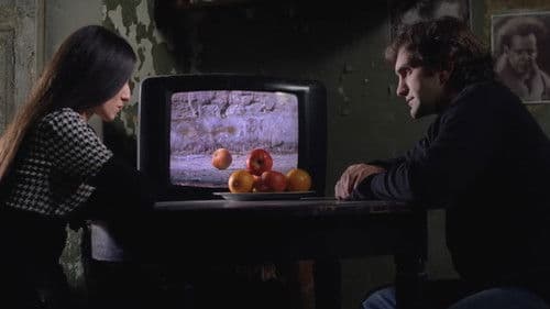 "Ağ-qara" gecələr Bild 2