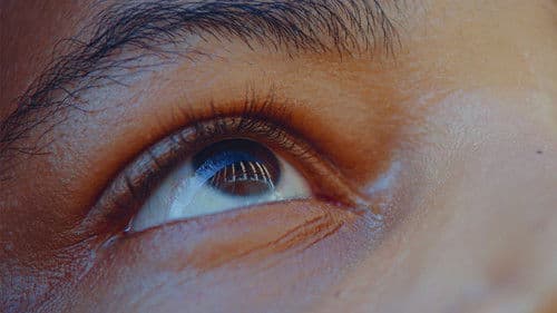 Estranho Caminho Bild 4