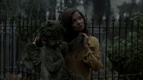 Die eiserne Rose Bild 1