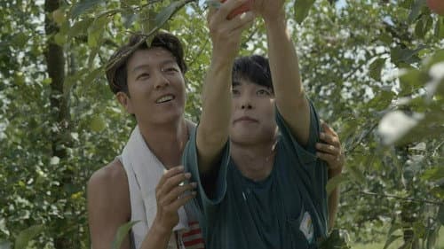 썸모어 Bild 3