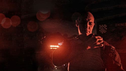 190: Inteligência Contra o Crime Bild 3