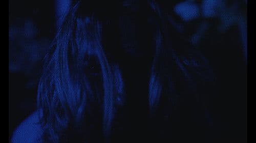 Passenger Jet Bild 2