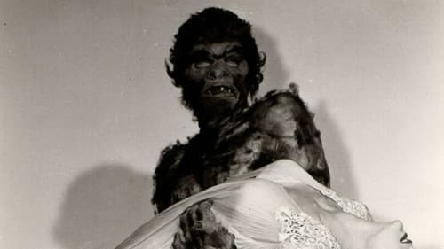 Der Schrecken schleicht durch die Nacht Bild 6