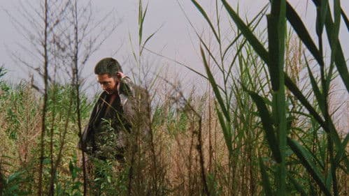 Zatoichi meets the One Armed Swordsman Bild 8