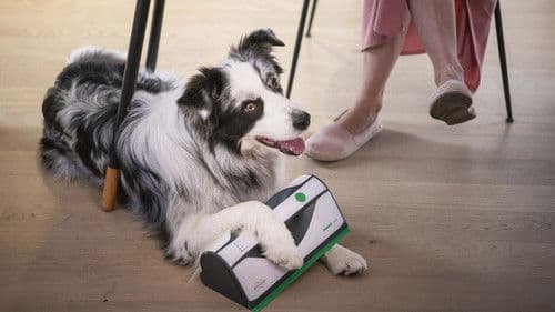 Řekni to psem Bild 3