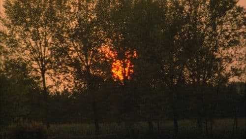 Il pianeta azzurro Bild 2