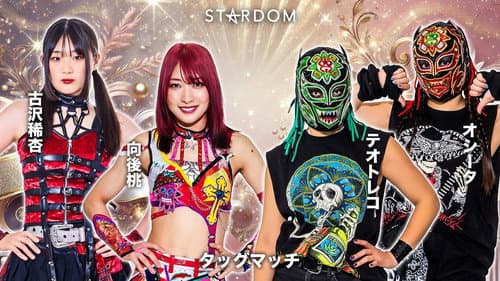 第15回 ゴッデス・オブ・スターダム ～タッグリーグ決勝トーナメント～ in OSAKA Bild 6