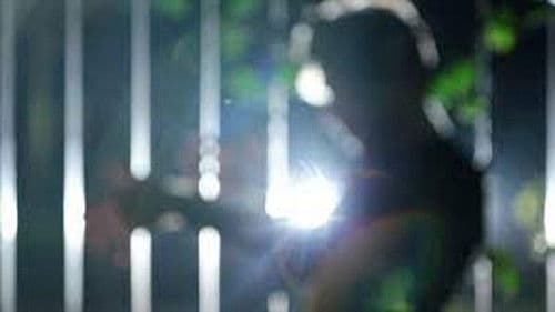 A Paixão de JL Bild 1