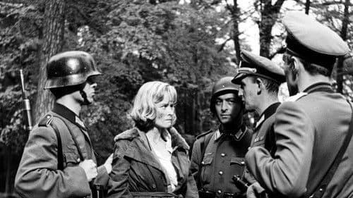 Carve Her Name with Pride Bild 7