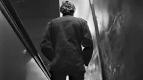 Vision for a New World Bild 1