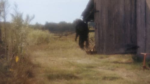 Boggy Creek II: And the Legend Continues Bild 1