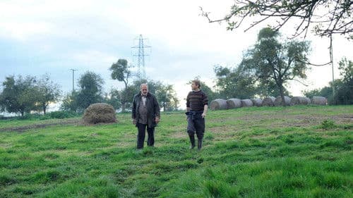 The Levelling Bild 8