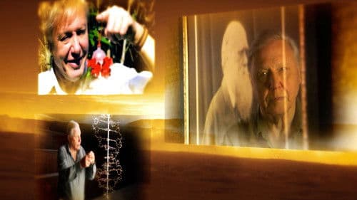 Attenborough's Passion Projects Bild 2