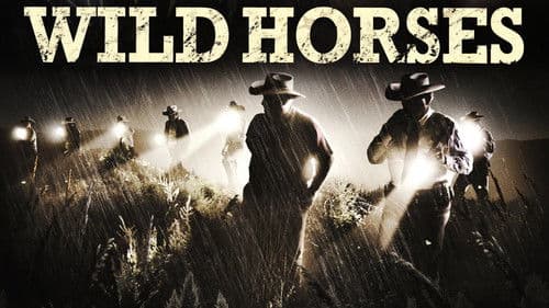 Wild Horses Bild 4