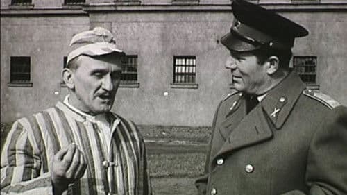 Özvegy menyasszonyok Bild 1