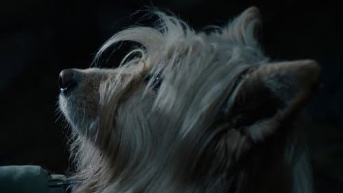 Ultimo schiaffo Bild 7