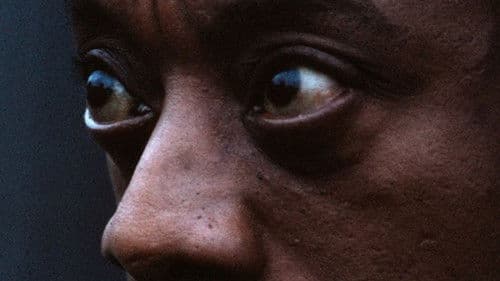 Meeting the Man: James Baldwin in Paris Bild 2