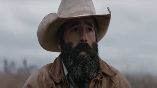 Where The Shadows Fall Bild 1