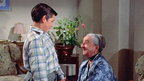 Ferien auf Immenhof Bild 2