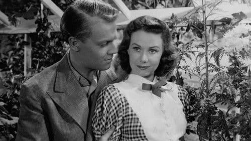 Älskling, jag ger mig Bild 3