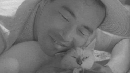 猫と庄造と二人のをんな Bild 1