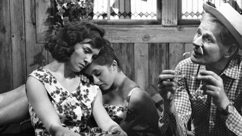 Dobrá rada pana Bartoše Bild 1