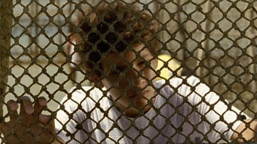 Sem Coração Bild 1