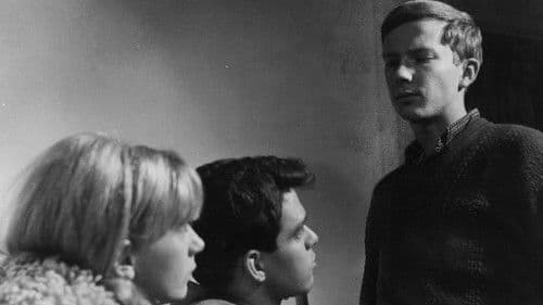 Winter Kept Us Warm Bild 3