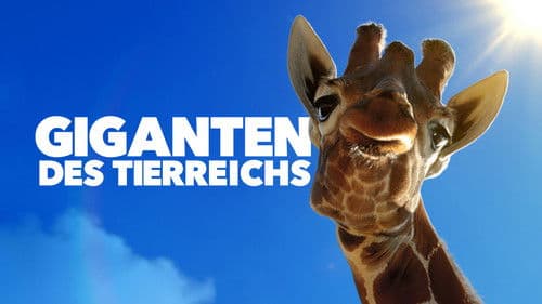 Giganten des Tierreichs Bild 6