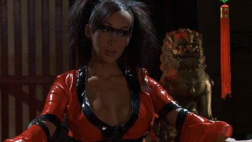 Asian Anal Assassins Bild 2