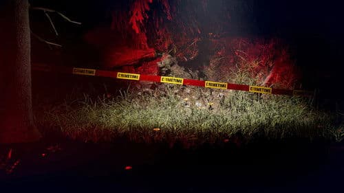 ARD Crime Time Bild 1